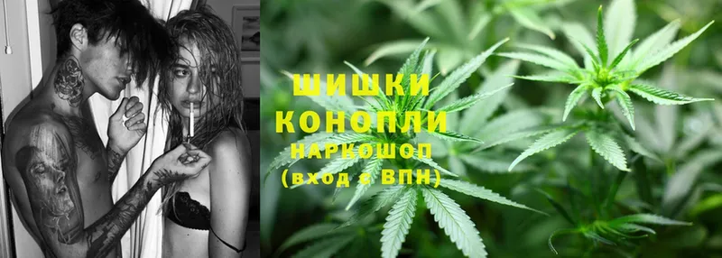 Каннабис OG Kush  Хабаровск 